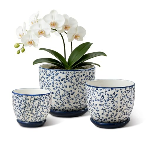 3.5"+4.6"+5.6" Ceramic Pots for Indoor Plants Set of 3 | Flower Pots with Drainage Holes and Saucers - Succulents Plant Pots for Orchid, Cactus, Pothos, Herbs, Vintage Blue, Scroll - color: Vintage Blue - Scroll