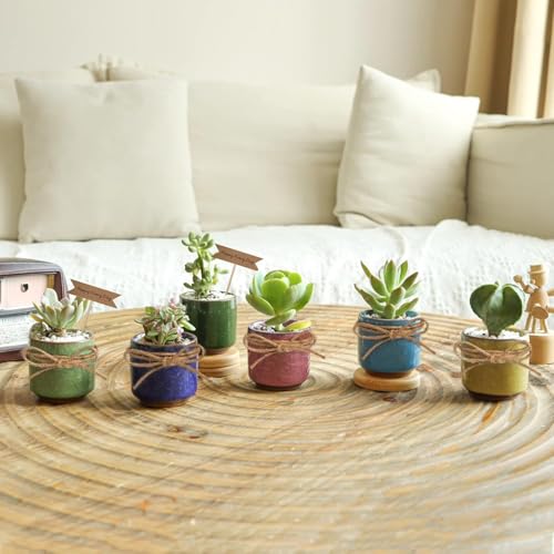 T4U 2.5 Inch Small Ceramic Succulent Planter Pot with Bamboo Saucer Set of 6, Ice Crack Glaze Porcelain Handicraft Plant Container Gift for Mom Sister Aunt Best for Home Office Desk Decoration