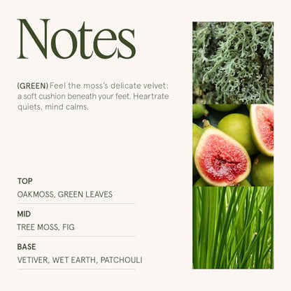 LA JOLIE MUSE Kyoto Vine Moss Scented Candle for Home, Natural Soy, 40 Hrs | Luxury Green Jar Candle, Clean Non Toxic Wax, Fresh Summer Candles, Gifts for Women & Men, Forest Candles, Leaves & Vetiver - color: Kyoto Vine & Moss