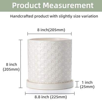8 Inch Plant Pot: Ceramic Planter with Drainage Hole & Saucer Indoor Outdoor Plants - Cylinder Round Flower Pot for Home Office - Modern Decorative - Medium White
