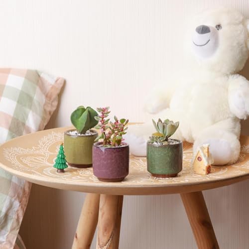 T4U 2.5 Inch Small Ceramic Succulent Planter Pot with Bamboo Saucer Set of 6, Ice Crack Glaze Porcelain Handicraft Plant Container Gift for Mom Sister Aunt Best for Home Office Desk Decoration