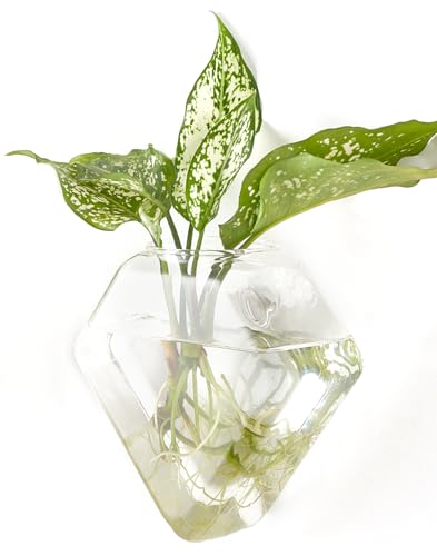 Mkono Wall Planter Hanging Propagation Stations Flower Vase Glass Pots Holder for Hydroponic Plants, Indoor Home Office Living Room Bathroom Decor Gifts, 3 Pack