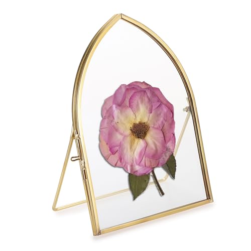 JUXYES Tabletop Mini Brass Double Glass Ornament Frames for Pressed Flowers | 5x7 Glass Floating Frames for Display Dried Plant Specimen Picture, Countertop Taper Gold Vintage Double Sided Photo Frame - size: 5" x 7"