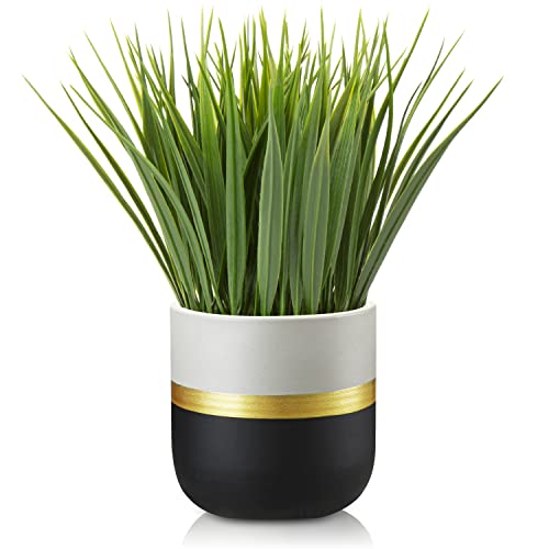 Hollyone Artificial Plants Small Faux Plant Decor Fake Potted Plant Faux Plants in Pots Fake Grass Pot for Home Table Office Desk Room Bathroom House Indoor Decorative Gifts - color: Bright Lush Look #1