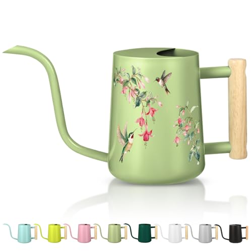 Watering Can Indoor Plants, 35oz Small Stainless Steel Metal Watering Can Modern Decorative Watering Pot with Long Spout for Indoor House Plant Bonsai Garden Flowers (Saga Green 2) - color: Saga Green 2