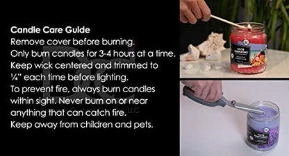 Bamboo Odor Eliminating Highly Fragranced Candle - Eliminates 95% of Pet, Smoke, Food, and Other Smells Quickly - Up to 80 Hour Burn time - 12 Ounce Premium Soy Blend - color: Bamboo