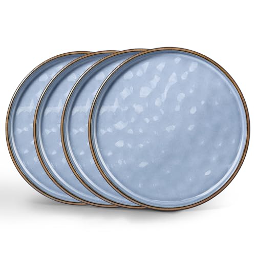 LIANYU Ceramic Dinner Plates Set for 4, 10.2In Porcelain Kitchen Salad Dessert Serving Dishes Set, Modern Round Stoneware Dinnerware Appetizer Plates, Scratch Resistant & Microwavable, Serenity Blue - color: Serenity Blue, size: 10.2 Inch for 4
