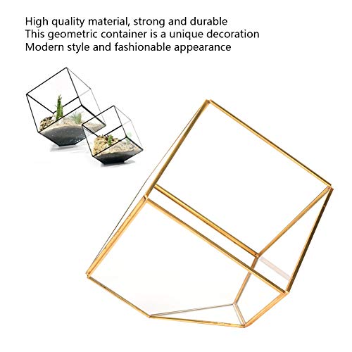 Geometric Glass Planter Gold Terrarium Container Home Desktop Decoration