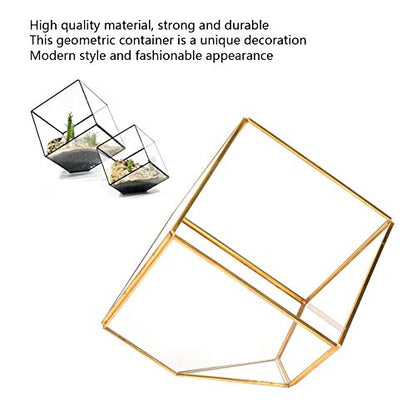 Geometric Glass Planter Gold Terrarium Container Home Desktop Decoration
