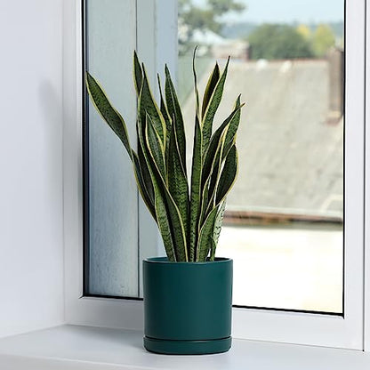 D'vine Dev 2-Pack Ceramic Pots with Saucers, 6/8 in, Teal, 94-G-M-9 | Glazed Ceramic, Drainage Hole, Perfect-Fit Saucer, Sleek Cylinder Shape, High Temperature Fired, Elegant Home Accent - color: Teal, size: Medium