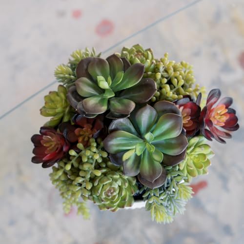 Round Faux Succulent Arrangement, 12" Premium Artificial Indoor Plant Enhances Interior Design, Display on any Surface in Your Home Adding an Inviting Touch of Nature, White Planter Pot Included - size: 12" Round White
