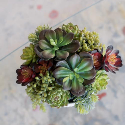 Round Faux Succulent Arrangement, 12" Premium Artificial Indoor Plant Enhances Interior Design, Display on any Surface in Your Home Adding an Inviting Touch of Nature, White Planter Pot Included - size: 12" Round White