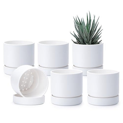 Phoenix Vine 4 Inch Planter Pot with Drainage Hole & Saucer, Deep Water Catch Tray, Straight Cylindrical Round Pot for Plants, Matte White, Pack of 6, 23-B-R-6 - color: Matte White, size: 4" (6 Pack)