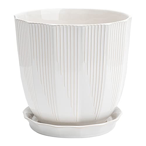 ADN 10Inch White Ceramic Planter Pot with Drainage Hole and Saucer | Modern Indoor Outdoor Large Decorative Planter Pot, for Home,Garden,Office Gift; 6/8/10 inch - color: White, size: 10 in