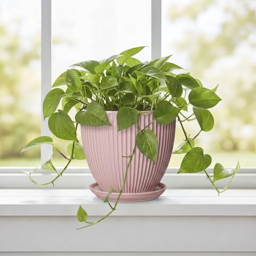 6 Inch Flower Pots, Ceramic Pots for Plants Indoor, Modern Plant Pot with Drainage Hole and Saucer, Decorative Small Round Succulent Planter, Living Room Office Decor, Women Men Gifts, Pink - size: 6 Inch, style: Pink
