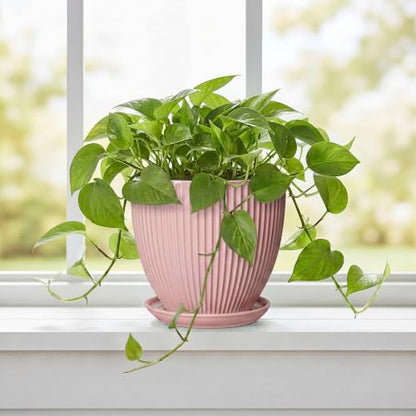 6 Inch Flower Pots, Ceramic Pots for Plants Indoor, Modern Plant Pot with Drainage Hole and Saucer, Decorative Small Round Succulent Planter, Living Room Office Decor, Women Men Gifts, Pink - size: 6 Inch, style: Pink