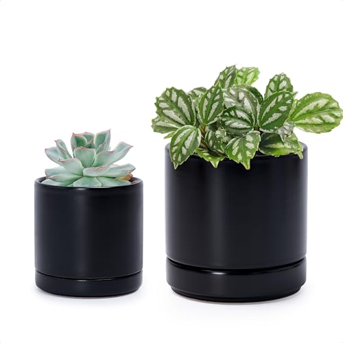 D'vine Dev 2-Pack Ceramic Pots & Saucers, Black, 3.5/4.7 in, 94-G-XS-2 | Glazed Ceramic, Drainage Hole, Perfect-Fit Saucer, Sleek Cylinder Shape, High Temperature Fired, Elegant Home Accent - color: Black, size: X-Small