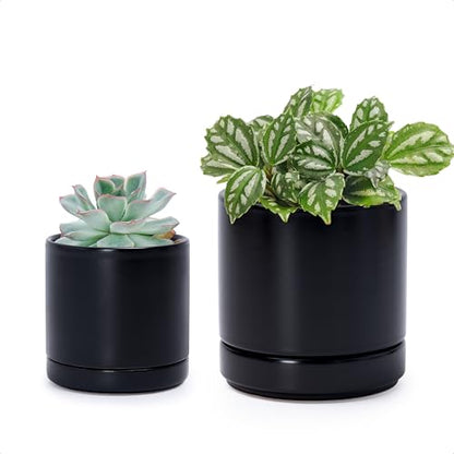 D'vine Dev 2-Pack Ceramic Pots & Saucers, Black, 3.5/4.7 in, 94-G-XS-2 | Glazed Ceramic, Drainage Hole, Perfect-Fit Saucer, Sleek Cylinder Shape, High Temperature Fired, Elegant Home Accent - color: Black, size: X-Small