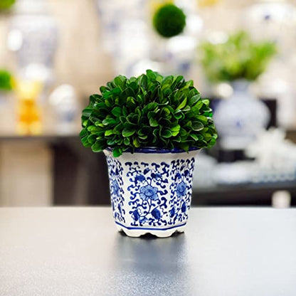 Galt International 7" Naturally Preserved Real Boxwood Ball in Hand-Painted Blue & White China Pot Planter Green Indoor Plant Home Decor (Small 7" Tall Topiary) - size: Small 7"