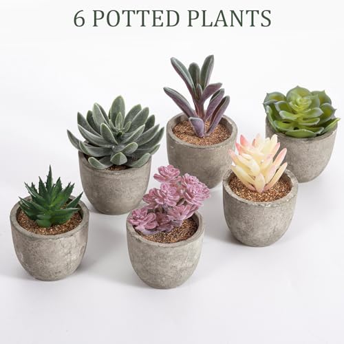 Set of 6 Artificial Succulents Potted - Realistic Mini Fake Cactus Plants in Paper Pulp Pots, 2-4'' Mixed Sizes for Farmhouse Shelf, Bathroom, Coatrack Shelf, Bedroom Indoor(Classic Style) - style: Classic Style