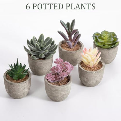 Set of 6 Artificial Succulents Potted - Realistic Mini Fake Cactus Plants in Paper Pulp Pots, 2-4'' Mixed Sizes for Farmhouse Shelf, Bathroom, Coatrack Shelf, Bedroom Indoor(Classic Style) - style: Classic Style