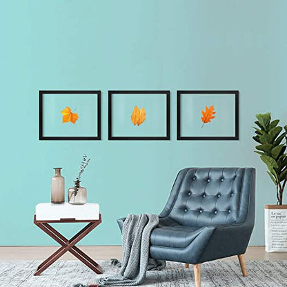ONE WALL 16x20 Floating Frame, Black Wood Double Glass Float Picture Frame | Display 16x20/11x14 Inch Photos or Plant or Petal Specimens for Wall Hanging, Mounting Accessories Included - size: 16X20