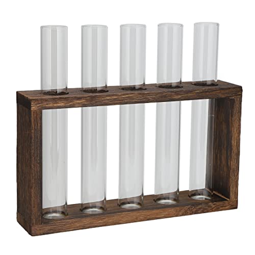 Transparent Hydroponic Test Tube Vase Set with Handcrafted Pine Wood Frame – 3 High Borosilicate Glass Tubes for Propagation, Desktop WallMounted Plant Display, Retro Modern Decor (Vintage - size: Vintage frame + 5 bottles