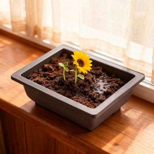 15 PCS 6.5 Inch Bonsai Training Pots with Trays, Rectangular Plastic Growing Pots, Flower Succulent Pots Container for Garden, Yard, Office, Porch, Balcony, Home Decoration - size: 6.5 Inch