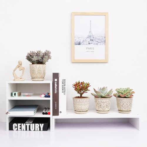 Gepege Ceramic Succulent Pots, 4 Inch Small Plant Pots with Drainage | Ceramic succulent pots with drainage holes, ceramic saucers and mesh pads, set of 4, ideal for cactus and succulents - color: Cream White, size: 4 Inch - Set of 4