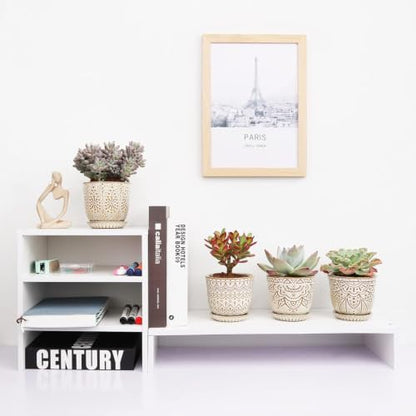 Gepege Ceramic Succulent Pots, 4 Inch Small Plant Pots with Drainage | Ceramic succulent pots with drainage holes, ceramic saucers and mesh pads, set of 4, ideal for cactus and succulents - color: Cream White, size: 4 Inch - Set of 4
