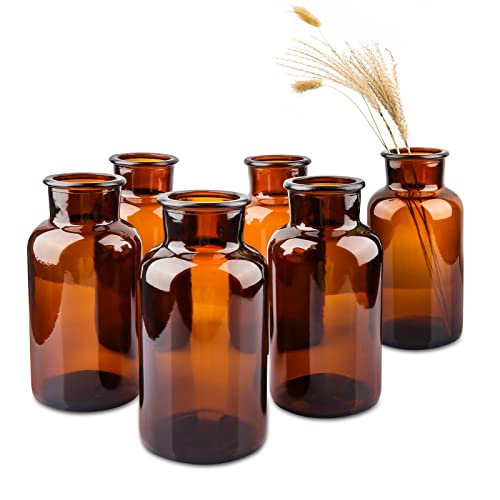 PINIWON Set of 6 Amber Bud Vases, Vintage Small Glass Vases | Medicine Bottles Apothecary Jars with Brush, Flower Vases for Home Decor, Wedding Centerpieces - color: Amber-6pack