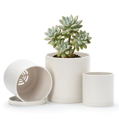 D'vine Dev 3-Pack Plastic Pots & Saucers, 4/5/6 in, Oatmeal, 74-V-H-1 | Multi-Size Options, Lightweight Durable, Matte Finish, Cylinder Shape, Drainage Holes, Sleek Design, Detachable Saucer - color: Oatmeal, size: Small