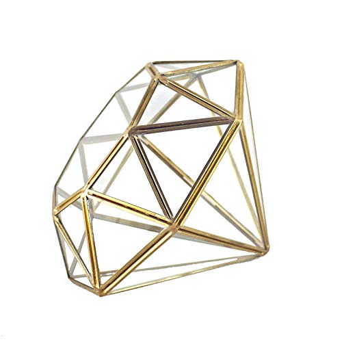 Handmade Gold Open Glass Geometric Terrarium Brass Succulent Fern Moss Plant Display Container Balcony Small