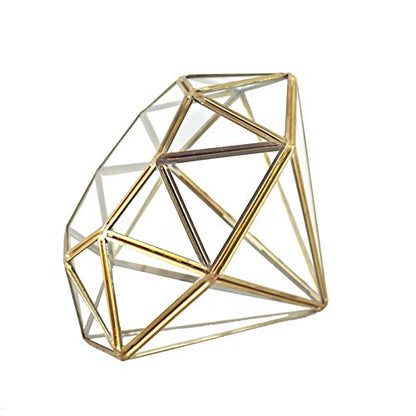 Handmade Gold Open Glass Geometric Terrarium Brass Succulent Fern Moss Plant Display Container Balcony Small