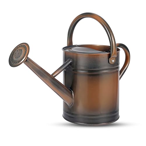 1 Gallon Watering Can for Plants, Watering Cans for Indoor&Outdoor Gardening, Galvanized Steel Watering Pot with Removable Spout, Metal Water Can with Ergonomic Movable Handle(Copper) - color: Copper