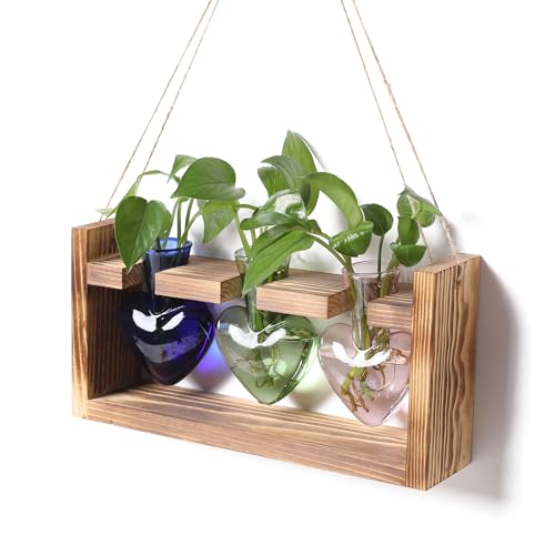 Plant Terrarium Propagation Stations Hydroponics | Home Garden Decoration Gift for Women with Wooden Stand Heart Shaped Colored Glass Vase - color: Mixed Color