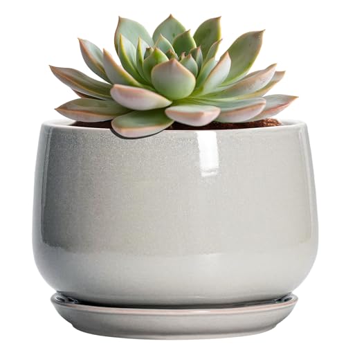 G EPGardening Ceramic Pots for Plants - 6 Inch Plant Pot with Drainage and Ceramic Tray, Modern Succulent Pots, Round Planters for Indoor Plants, Living Room Decor, Gifts for Plant Lovers, Light Grey - color: Light Grey, size: 5 Inch