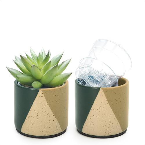 D'vine Dev 2-Pack Cachepot with Clear Pot, 3.5 in, Desert Forest, 93-V-A-1 | Dual-Pot System, Root Visibility, Bottom Watering Support, Enhanced Drainage, Artistic Stoneware Design, Easy Plant Care - color: Desert Forest, size: 3.5” Cachepot + 3“ Clear Gr