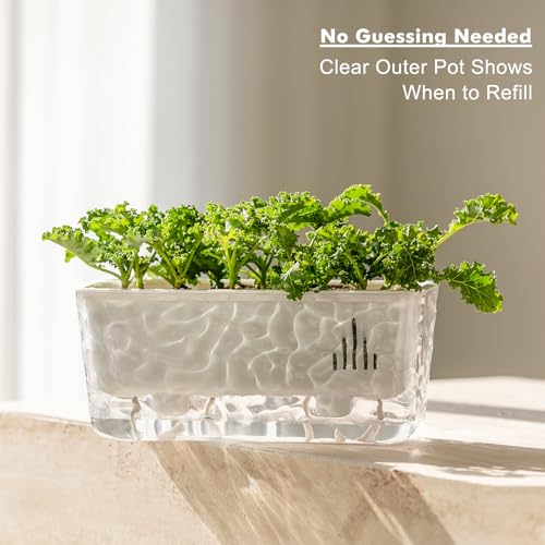 Self Watering Pots for Indoor Plants, 2 Packs Window Boxes Planters Rectangle Self Watering Planter 11 in Rectangular Clear Plant Pots Long Herb Windowsill Planter Flower Box Succulent Planters