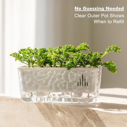 Self Watering Pots for Indoor Plants, 2 Packs Window Boxes Planters Rectangle Self Watering Planter 11 in Rectangular Clear Plant Pots Long Herb Windowsill Planter Flower Box Succulent Planters