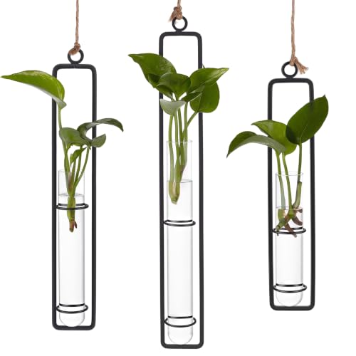 5 Sets Hanging Glass Propagation Station, 3 Styles Iron Frame Transparent Test Tube Plant Vases Wall Mounted Hydroponic Planters for Outdoor Indoor Balcony Home Decor