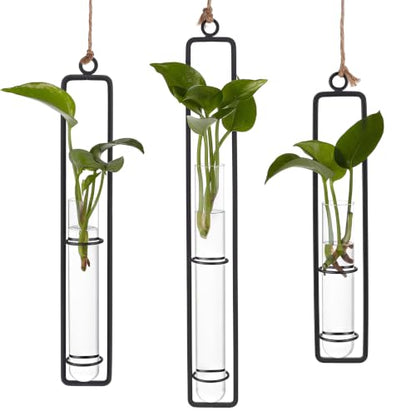 5 Sets Hanging Glass Propagation Station, 3 Styles Iron Frame Transparent Test Tube Plant Vases Wall Mounted Hydroponic Planters for Outdoor Indoor Balcony Home Decor