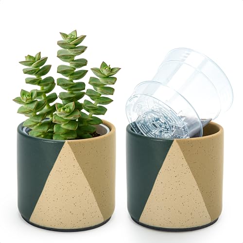 D'vine Dev 2-Pack Cachepot with Clear Pot, 4.5 in, Desert Forest, 93-V-B-1 | Dual-Pot System, Root Visibility, Bottom Watering Support, Enhanced Drainage, Artistic Stoneware Design, Easy Plant Care - color: Desert Forest, size: 4.5” Cachepot + 4“ Clear Gr