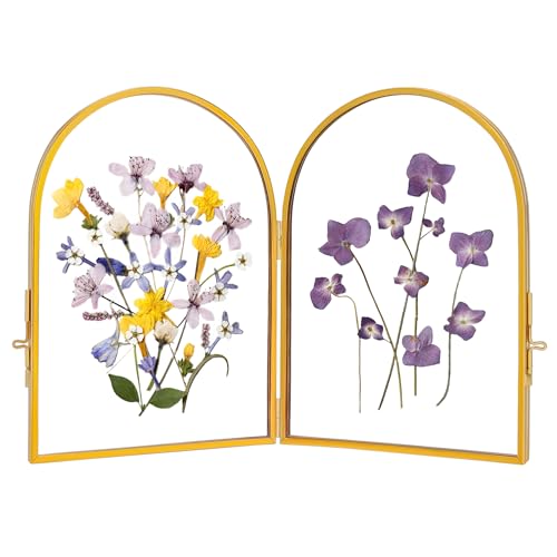 REDHUGO Double Glass Frame for Pressed Flowers Arc Gold, 5×7 Inches | Handmade, Pressed Flower Frame, Hinged Tabletop Brass Photo Frames, Dried Flower Display Folding Picture Frame for Home - color: Gold, size: 5L" x 7W"