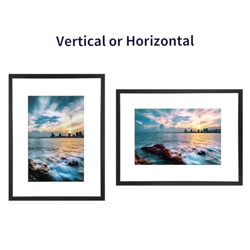 ONE WALL 18x24 Floating Frame, Black Wood Double Glass Float Picture Frame | Display 11x14/11x17/12x18/13x19/16x20 Photos or Plant or Petal Specimens for Wall Hanging, Mounting Kit Included - size: 18X24