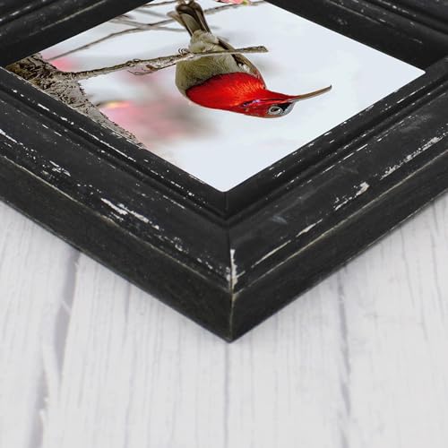 4x4 Picture Frame Made of Solid Wood High Definition Glass Rustic Antique Designs Small Photo Frame for Tabletop Display and Wall Mounting, Distress Black - color: Distress Black B, size: 4" X 4"