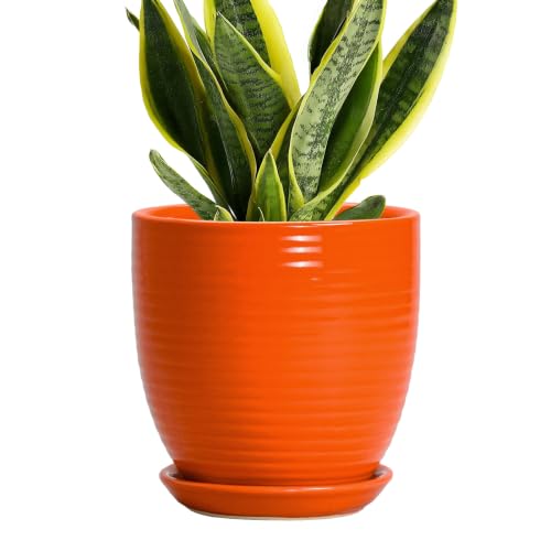 6 Inch Ceramic Plant Pots with Drainage Hole and Saucer, Orange | Round Ceramic Planters, Flower Pot Indoor, Modern Planter, Room Office Home Decor, Gifts for Plant Lovers - color: Orange, size: 6 Inch