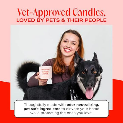 Anywhere with You Pet-Friendly Scented Candle – Grapefruit & Vanilla Fragrance - Coconut Soy Wax Candle with Wooden Wick, Approx. 50-Hour Burn Time, Made in USA, 11.8 oz - color: Anywhere with You