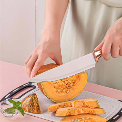 19 Piece Kitchen Utensils and Knife Set with Block, 9 Silicone Cooking Utensils, 5 Sharp Stainless Steel Chef Knife Set with Scissors, Whisk, Tongs and Cutting Board (Khaki)