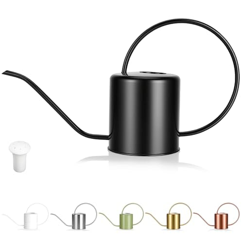Plant Watering Can, 50 oz / 1500 ml Stainless Steel Metal - Modern Decorative with Long Spout for Indoor Potted Plants, Bonsai, Garden Flowers, Black - color: Black